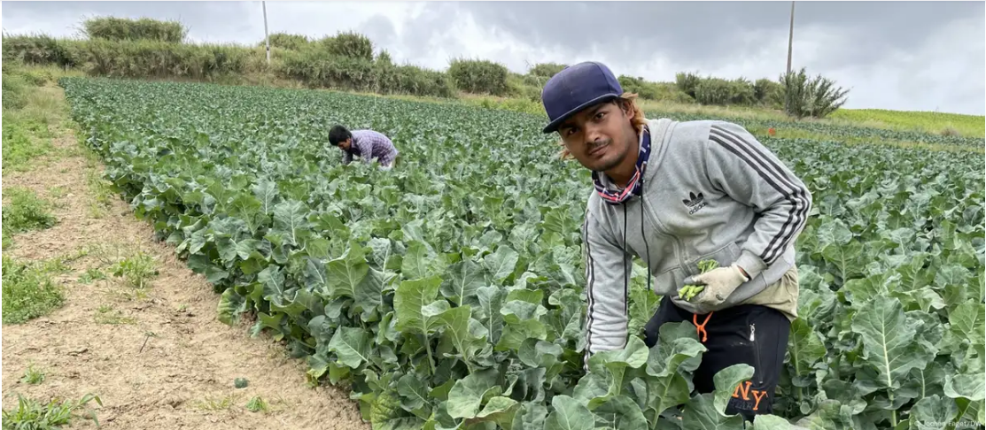प्रवासियों से जुड़े श्रम कानून सख्त बना रहा है पुर्तगाल
