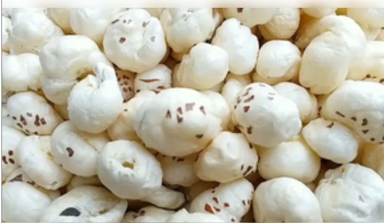 यूपी में मखाना की खेती को प्रोत्साहन देगी योगी सरकार, प्रति हेक्टेयर 40 हजार रुपए का अनुदान 