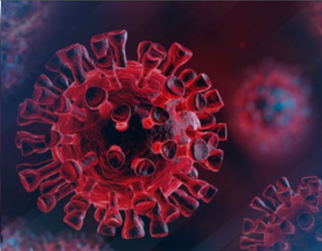 ब्रेनस्टेम में होने वाली क्षति गंभीर कोविड-19 संक्रमण से जुड़ी : शोध 