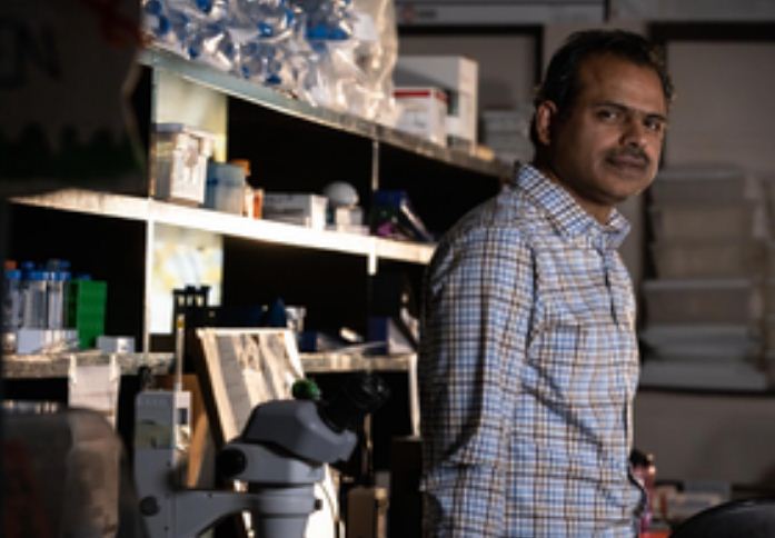 भारतीय मलू के वैज्ञानिक ने की प्रोटीन के नए कार्य की खोज, जो उम्र संबंधी बीमारियों का इलाज कर सकती है 