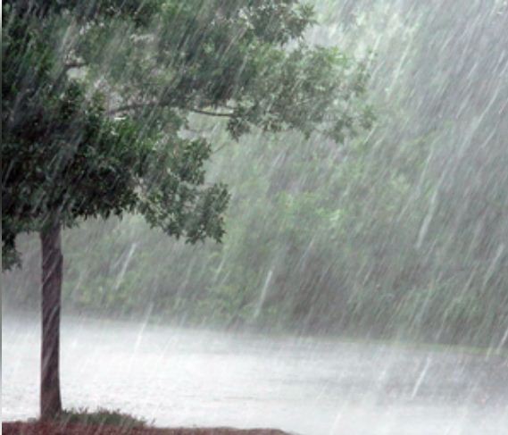 चक्रवात 'दाना' को लेकर झारखंड में ऑरेंज अलर्ट, कई ट्रेनें रद्द