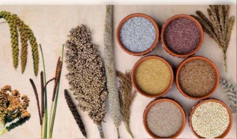 वैश्विक जलवायु परिवर्तन से निपटने में मदद कर सकती हैं भारतीयों की खान-पान की आदतें : रिपोर्ट 