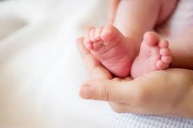 उत्तर प्रदेश में पेड़ की शाखा पर लटके मिले नवजात शिशु ने मौत को दी मात उत्तर प्रदेश में पेड़ की शाखा पर लटके मिले नवजात शिशु ने मौत को दी मात