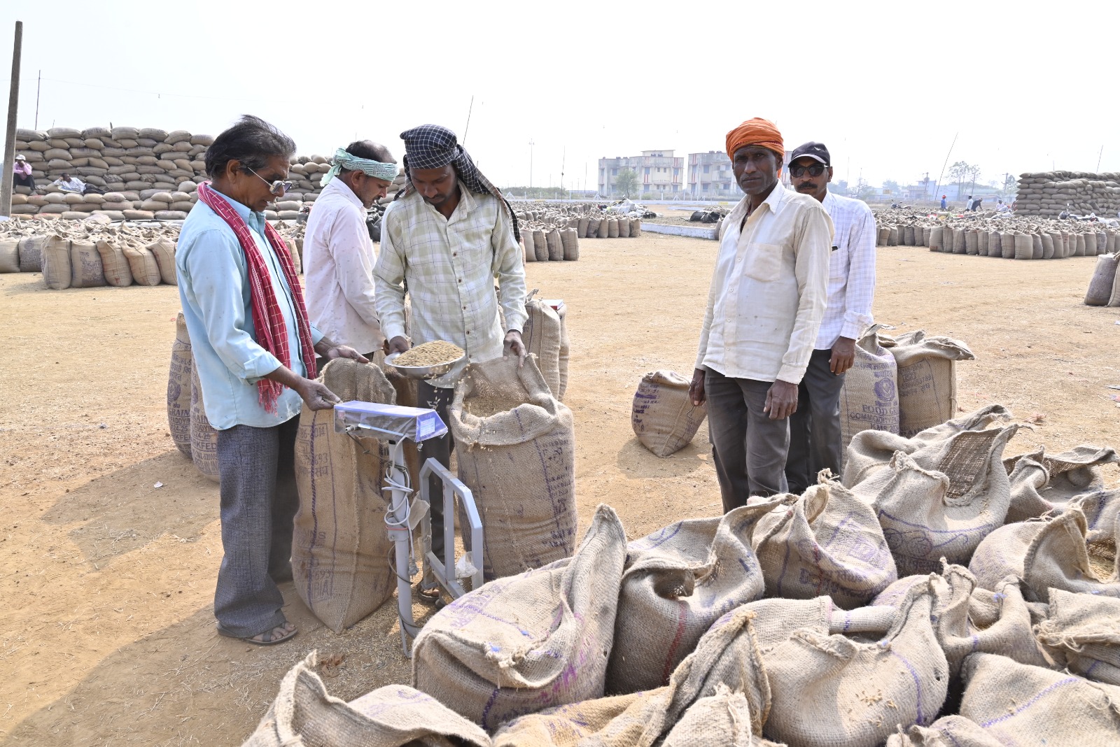 छत्तीसगढ़ में 8.95 लाख, रायपुर में 64109 टन धान की हुई खरीदी