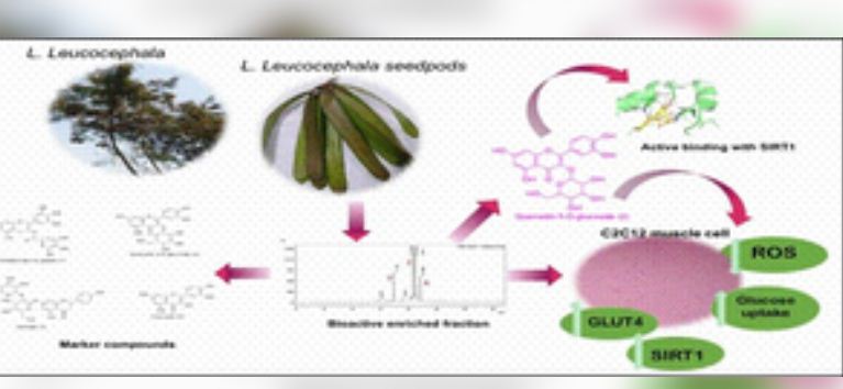 टाइप 2 डायबिटीज में मदद कर सकता है 'सुबाबुल' का पौधा : आईएएसएसटी शोध 