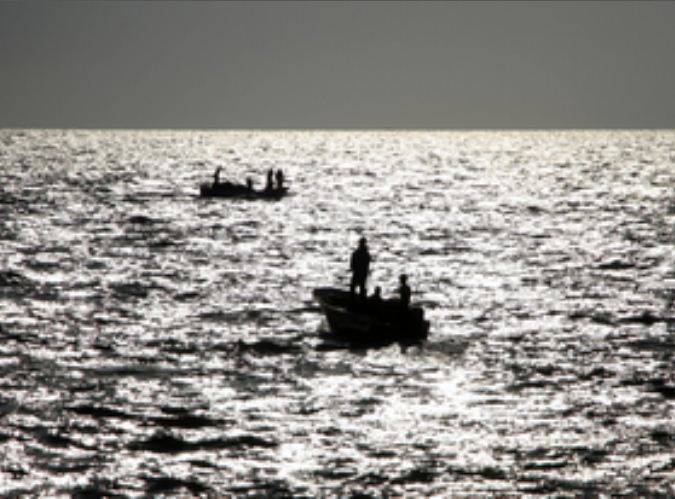 दक्षिण कोरिया : मालवाहक जहाज से टकराकर पलटी मछली पकड़ने वाली नाव, 7 की मौत