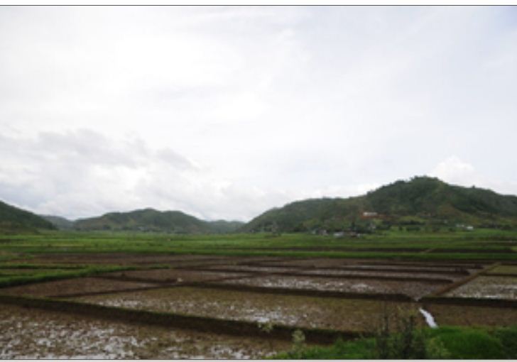 पांच वर्षों में 1,700 से अधिक कृषि स्टार्टअप को 122 करोड़ रुपये से ज्यादा का फंड हुआ जारी 