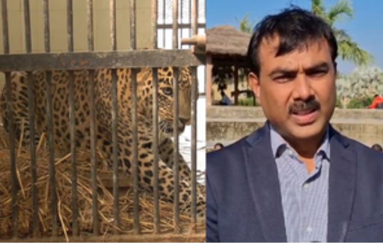 इटावा में सफारी पार्क में शेरों को सर्दी से बचाने के लिए लगाए गए हीटर 