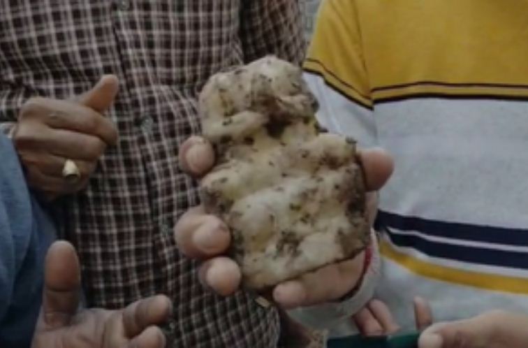 संभल में खुदाई के दौरान कुएं से निकली खंडित मूर्ति, इलाके में मची हलचल