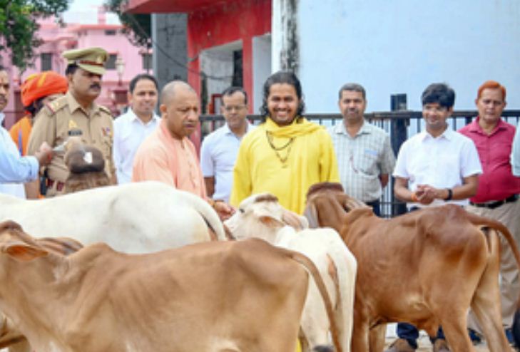 उत्तर प्रदेश में प्राकृतिक खेती के विकास की बुनियाद बनेंगे गोवंश 