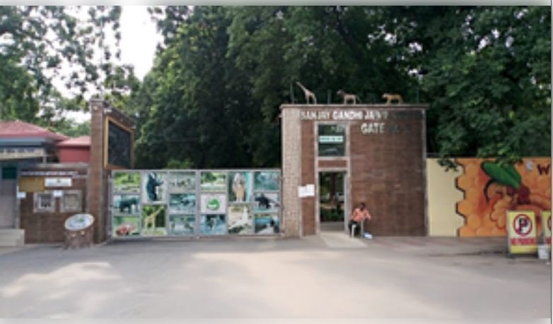 पटना के संजय गांधी जैविक उद्यान में फिर सुनाई देगी टॉय ट्रेन की आवाज 