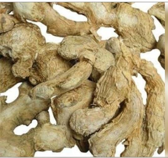 किसी औषधि से कम नहीं है सोंठ, सर्दियों में इसका सेवन देता है चमत्कारिक परिणाम 