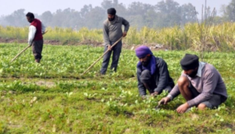 गौ आधारित खेती है पुण्य, बचत और सतत विकास का आधार, किसानों की हो रही बचत