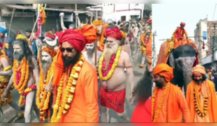 महाकुंभ : भव्यता और दिव्यता से निकाली गई निरंजनी अखाड़े की पेशवाई 