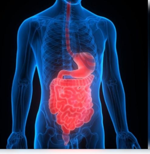 सर्दियों में भी हो सकती है पाचन संबंधी समस्याएं : एक्‍सपर्ट 