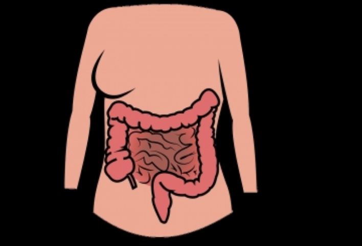 आंतों में संक्रमण के खिलाफ कारगर हो सकता है अल्बेंडाजोल और आइवरमेक्टिन का कॉम्बिनेशन : लैंसेट
