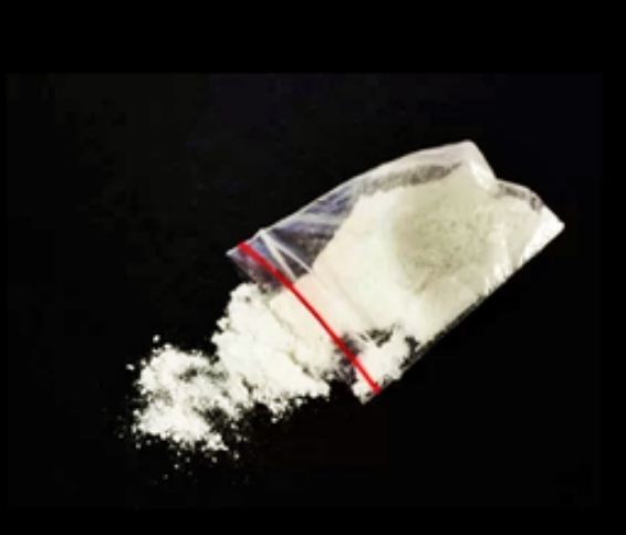 मंदसौर के संतरे के बगीचे में पकड़ी गई ड्रग्स फैक्ट्री