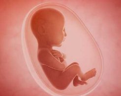 महाराष्ट्र में गर्भवती महिला में 'भ्रूण में भ्रूण की' दुर्लभ स्थिति पाई गई