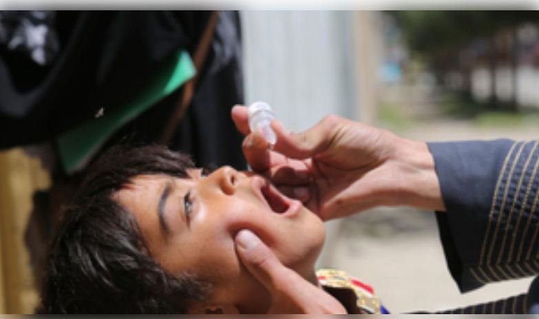 पाकिस्तान : 2025 के लिए 'पोलियो विरोधी अभियान' शुरू, पीएम शरीफ बोले - बीमारी को पूरी तरह करेंगे खत्म 