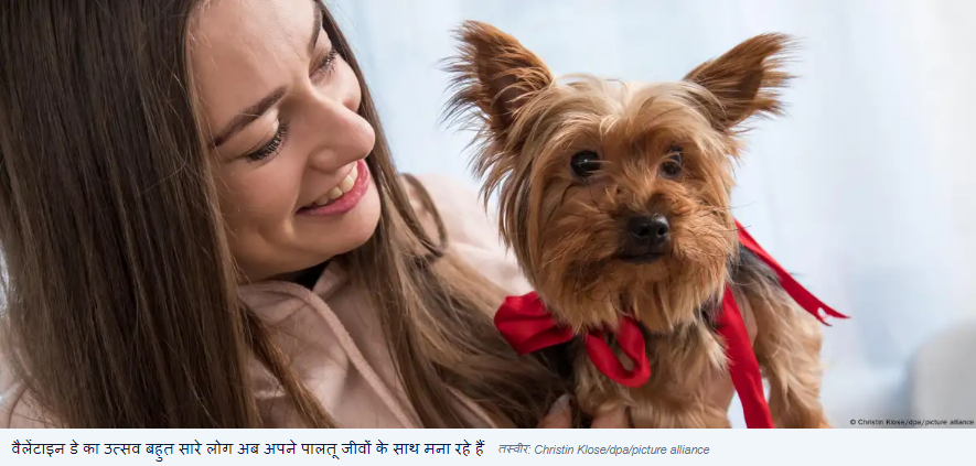 वैलेंटाइन डे पर कुत्ते बिल्लियों के लिए अरबों डॉलर खर्च