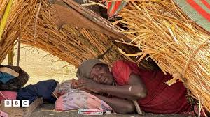 सूडान में ज़िंदा रहने के लिए चारकोल और पत्ते खा रहे हैं लोग, सहायता एजेंसी ने चेताया