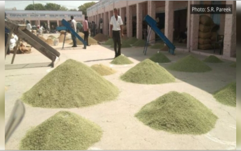 टियर 2 और 3 शहर बन रहे भारत की आर्थिक प्रगति के नए इंजन: रिपोर्ट में दावा टियर 2 और 3 शहर बन रहे भारत की आर्थिक प्रगति के नए इंजन: रिपोर्ट में दावा