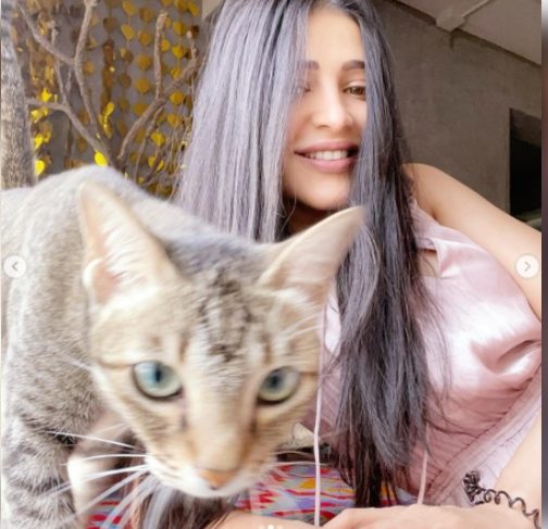 श्रुति हासन को महीनों बाद मिली खोई हुई बिल्ली 'कोरा', एक्ट्रेस फिर भी हैं उदास