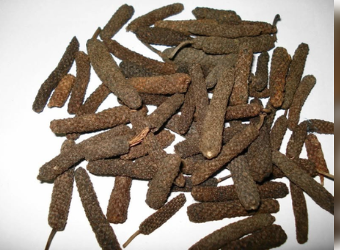 'इम्यूनिटी बूस्टर' है पिप्पली, इसके गुणों के बारे में जानकर हैरान हो जाएंगे आप! 