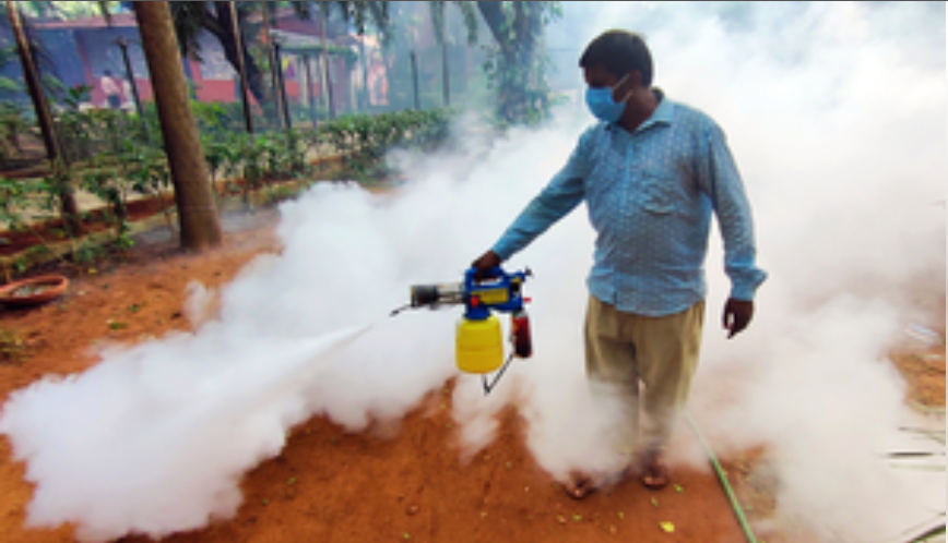 फ्रांस में पहले स्थानीय चिकनगुनिया मामले की पुष्टि, स्वास्थ्य अधिकारी इलाके की कर रहे जांच