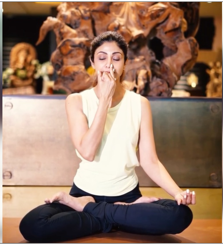 शिल्पा से लेकर मलाइका तक बॉलीवुड हसीनाओं ने बताया योग का महत्व, 'यह सिर्फ पोज नहीं, सोच है'