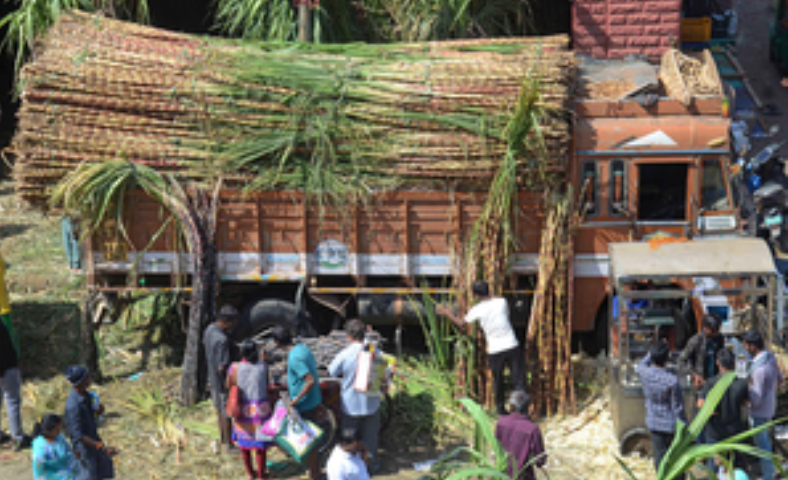 अनुकूल मानसून के कारण भारत का चीनी उत्पादन 15 प्रतिशत बढ़कर 35 मिलियन टन हो जाएगा : क्रिसिल 