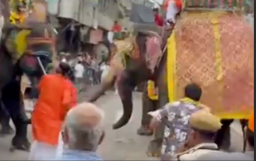 ‘छत्तीसगढ़’ का  संपादकीय : हाथियों के पैरोंतले कुचलने से बचने पर ले लें सबक...