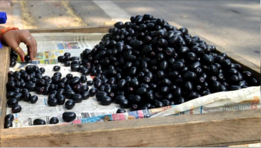 गर्मियों का तोहफा जामुन, स्वाद और सेहत का बेजोड़ संगम!