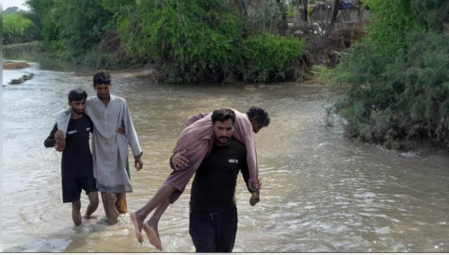 पाकिस्तान में मानसूनी बारिश और बाढ़ ने मचाई तबाही, अब तक 116 की मौत पाकिस्तान में मानसूनी बारिश और बाढ़ ने मचाई तबाही, अब तक 116 की मौत