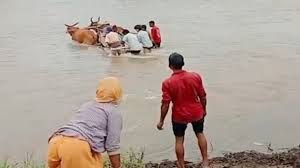 एमपी: गर्भवती महिलाओं को कहीं बैलगाड़ी से तो कहीं चारपाई पर लिटाकर एंबुलेंस तक पहुंचाया गया एमपी: गर्भवती महिलाओं को कहीं बैलगाड़ी से तो कहीं चारपाई पर लिटाकर एंबुलेंस तक पहुंचाया गया