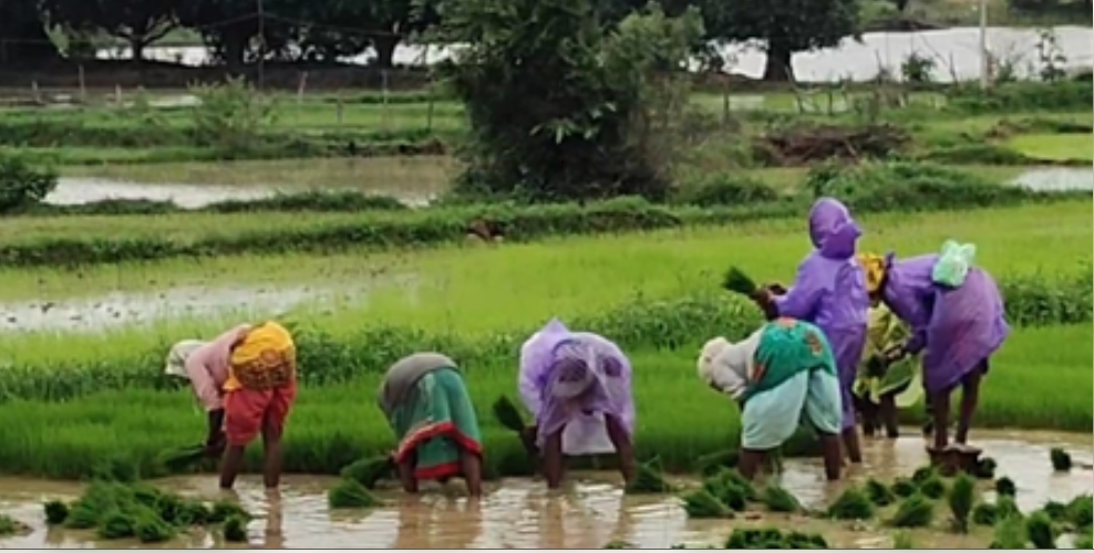 'सम्मान निधि' मिलने से गदगद किसान, बोले- ये अच्छी योजना, मिलती है बहुत मदद