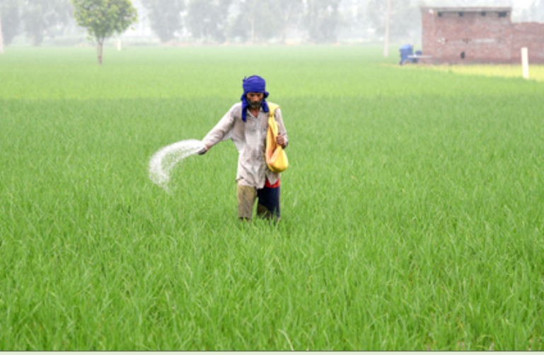 सरकार किसानों को यूरिया का कम इस्तेमाल करने के लिए कर रही प्रोत्साहित, वैकल्पिक उर्वरकों को अधिसूचित किया 