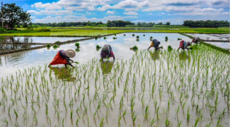 अमेरिकी कृषि और डेयरी कंपनियों का उद्देश्य दुनिया के बाजारों पर नियंत्रण हासिल करना, भारत की स्थिति मजबूत 