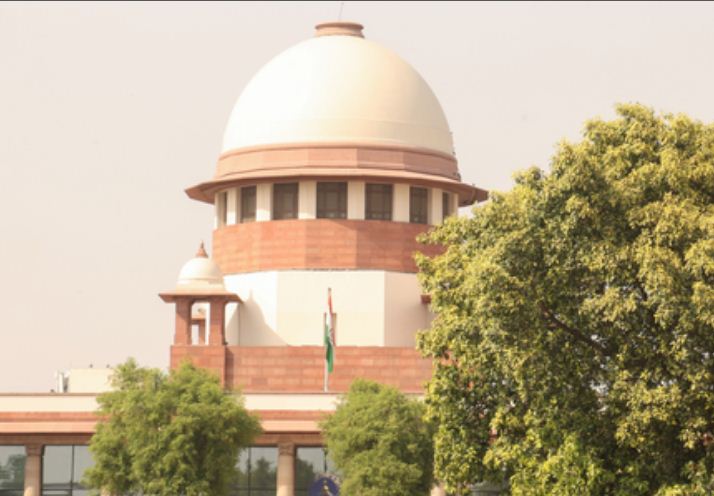 सुप्रीम कोर्ट ने दिल्ली-एनसीआर से आवारा कुत्तों को हटाने का दिया आदेश, कहा- देरी बर्दाश्त नहीं होगी 