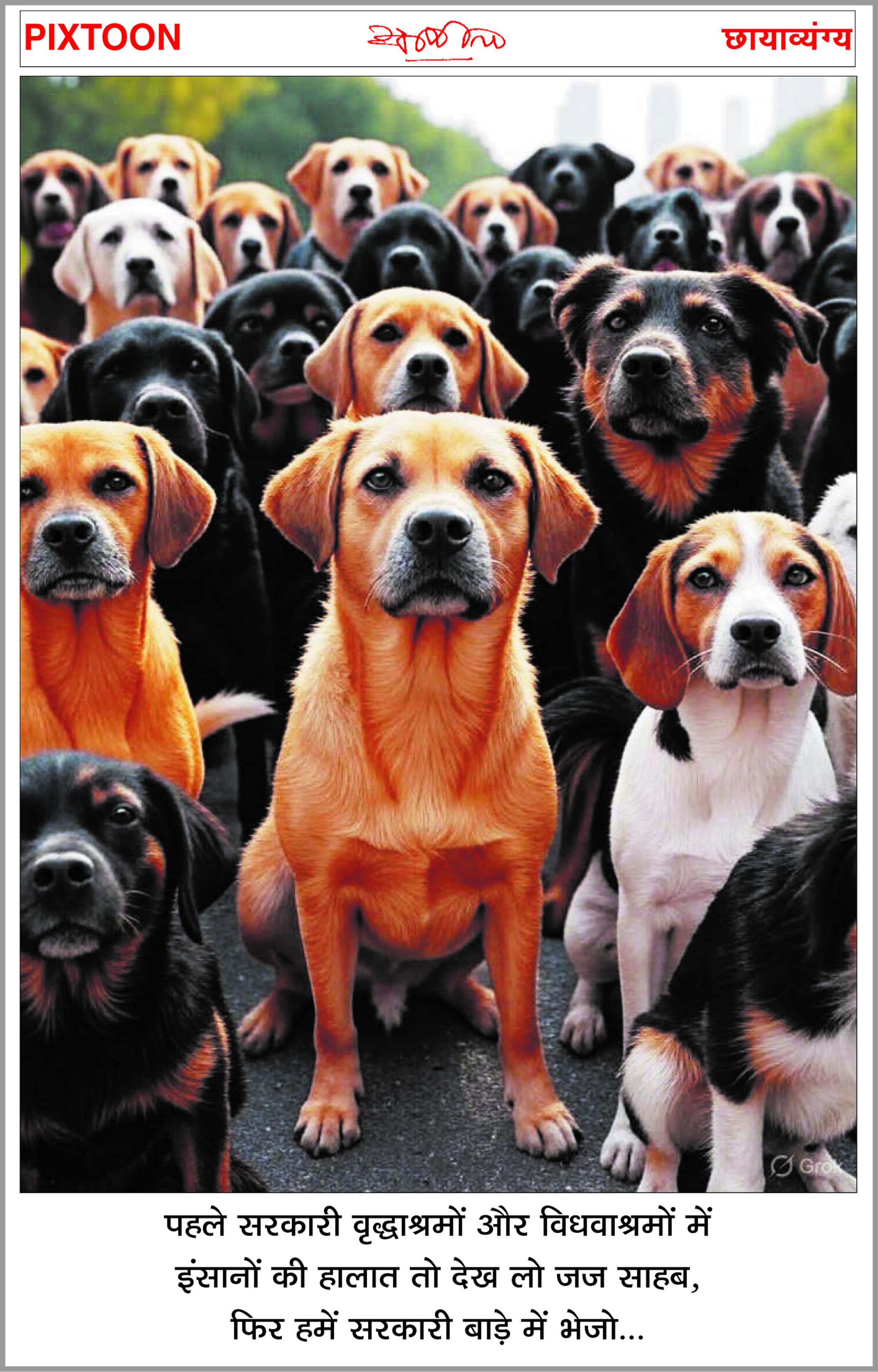 ‘छत्तीसगढ़’ का  संपादकीय : पशुप्रेमी अब बाड़ों में जाकर करें उनकी सेवा