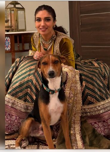 सुप्रीम कोर्ट के आवारा कुत्तों पर आदेश पर भूमि पेडनेकर ने जताई चिंता, कहा- 'ये समस्या का समाधान नहीं' 