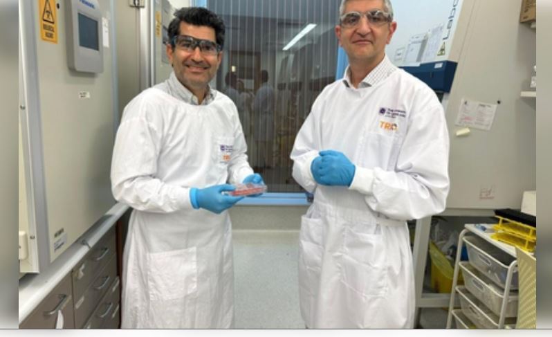 ऑस्ट्रेलियाई वैज्ञानिकों ने तैयार की जीती-जागती इंसानी त्वचा  