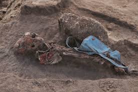 श्रीलंका में गृह युद्ध के समय की सामूहिक कब्र से शिशु की बोतल, बच्चों के कपड़े और 141 कंकाल मिले