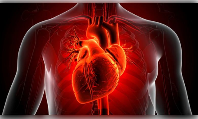 शोध: बैक्टीरियल इंफेक्शन से पड़ सकता है दिल का दौरा 