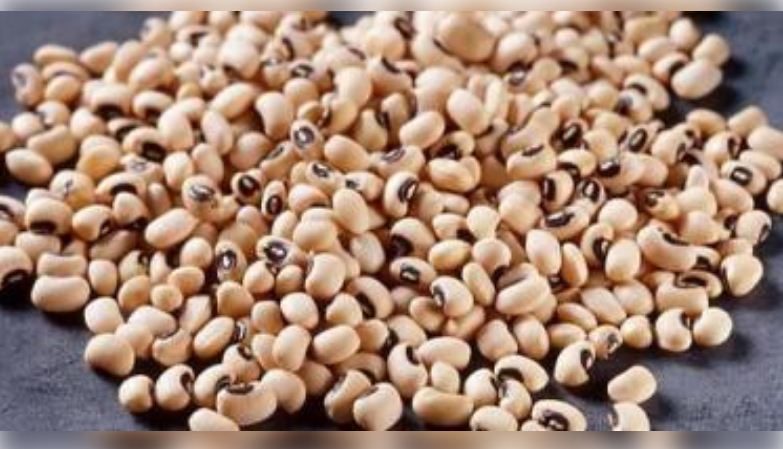 लोबिया : वजन घटाने में मददगार, वैज्ञानिक रिसर्च में सामने आए कई फायदे 