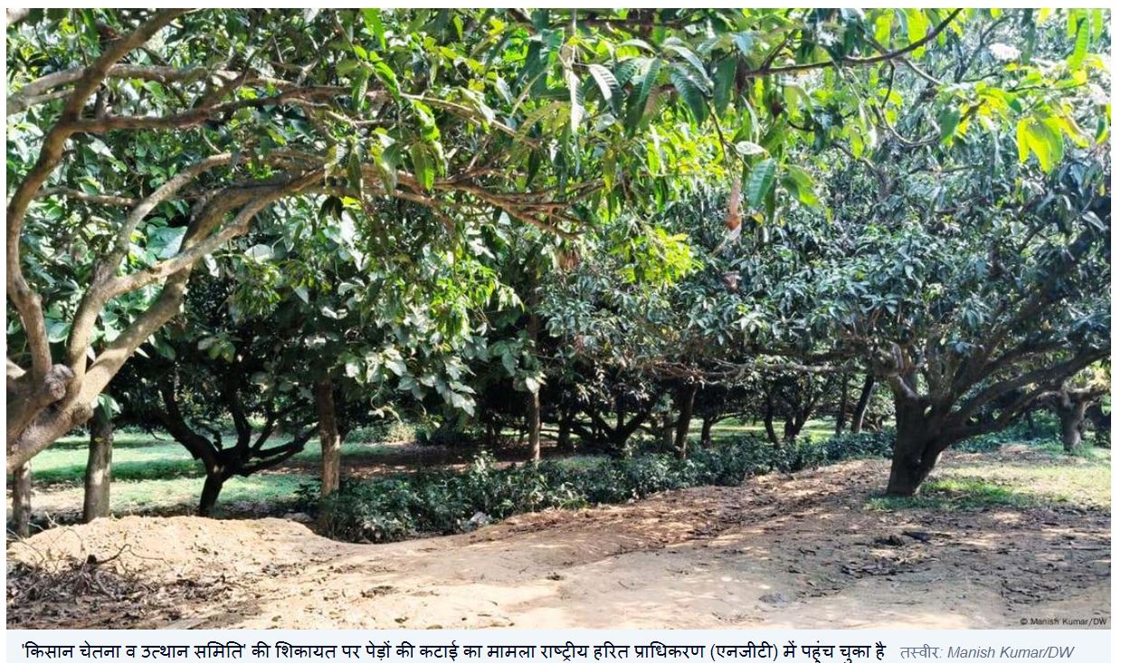 बिहार: अदाणी पावर प्लांट वाली जमीन पर असल में कितने पेड़?