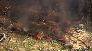 अमेरिका में विस्फोटकों के संयंत्र में विस्फोट, 19 लोगों के मारे जाने की आशंका