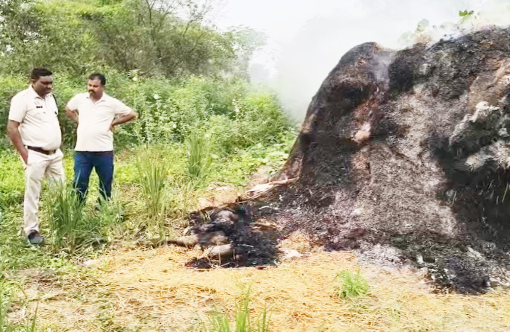 पैरावट में मिली युवती की जली लाश, हत्या की आशंका