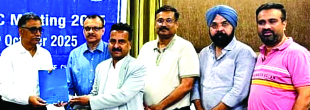 व्यावहारिक जीएसटी परेशानियों को जीआरसी मीटिंग में रखा छग चेंबर ने