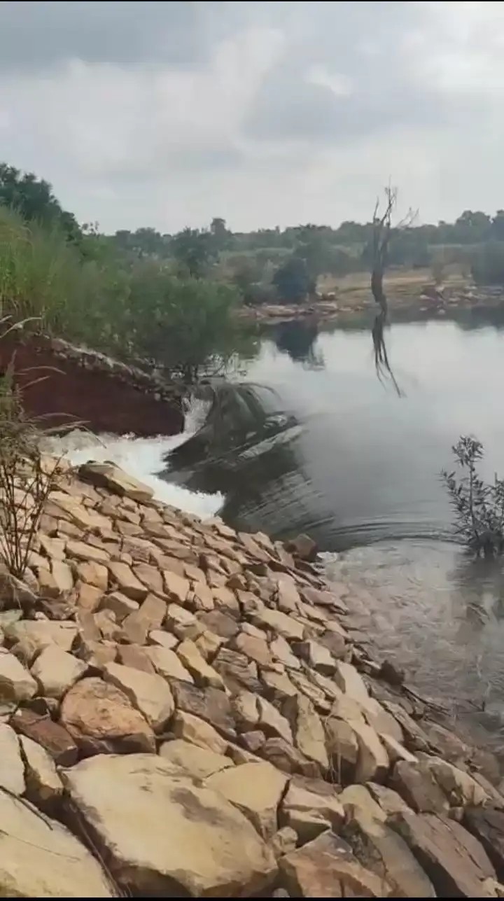 मगरलोड का राजाडेरा बांध फूटा, खेतों में सूखने रखी फसल बर्बाद 